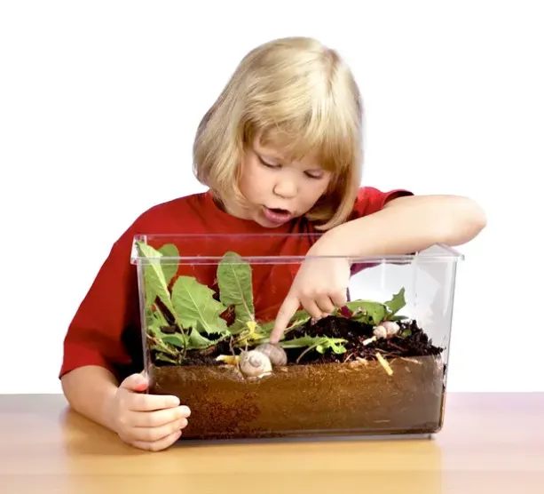 Akvarium