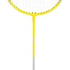 Badmintonrackert skole