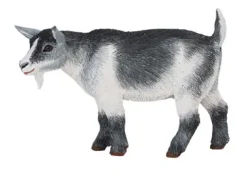 Bondegårdsdyr geit