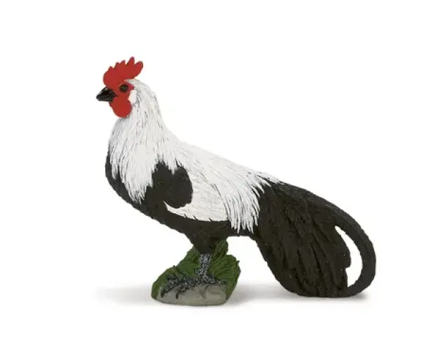 Bondegårdsdyr hane