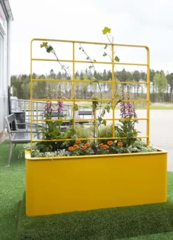 Chillout trellis