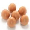 Egg i stein