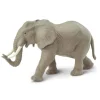 Eksotiske dyr elefant
