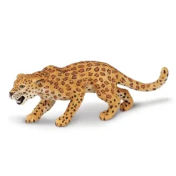 Eksotiske dyr leopard