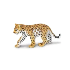 Eksotiske dyr leopard