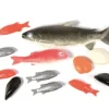 Fisk