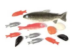 Fisk