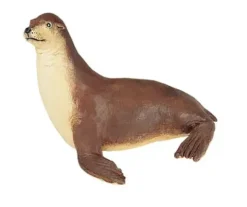 Havdyr sjøløve