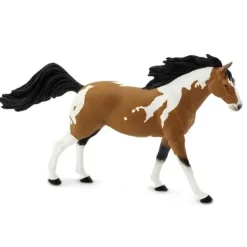 Hest american paint stallion
