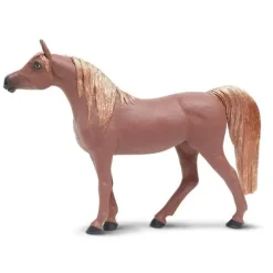Hest arabian Mare
