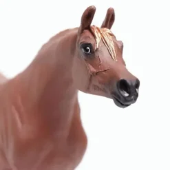 Hest arabian Mare
