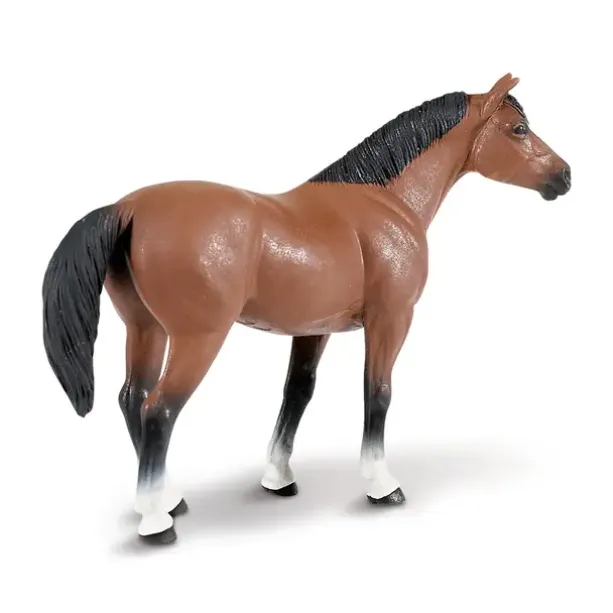 Hest quarter