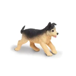 Hund schäfer