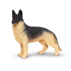 Hund schäfer