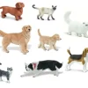 Katt og hund mix