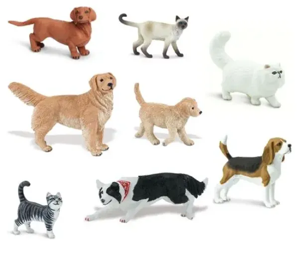 Katt og hund mix