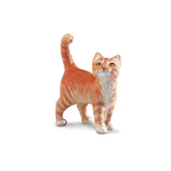 Katt tabby