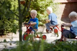 Mini Viking PushCar
