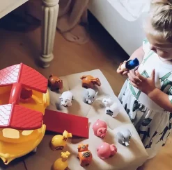Noahs ark