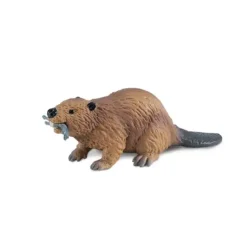Nordiske dyr bever