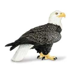 Nordiske dyr ørn