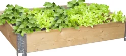 Plantekasse liten