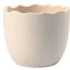 Potte eggeskall