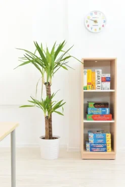 Quadro L reol smal