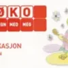 Regn med meg 4