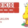 Regn med meg 5