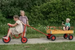 ROSE dravogn med 3 seter