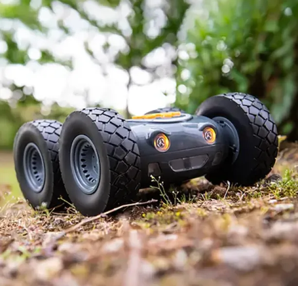 Rugged robot