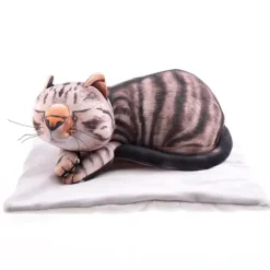 Sensorisk Katt