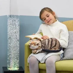 Sensorisk Katt