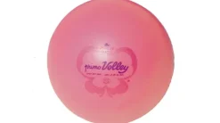 Trial Butterfly Primo volleyball