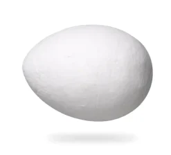 Vattegg hvite