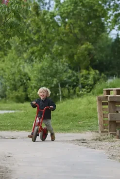 Viking BikeRunner