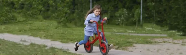 Viking BikeRunner stor