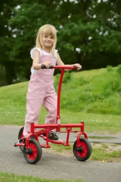 Viking Challenge Step Roller