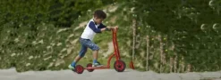 Viking Safety Roller