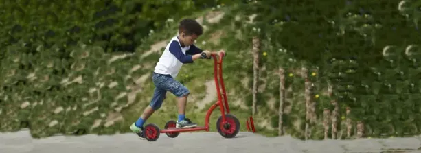 Viking Safety Roller